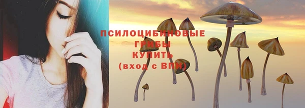 герыч Аркадак