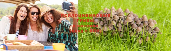 соль курить ск Алзамай